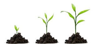 spiritualk-maturity-425x200